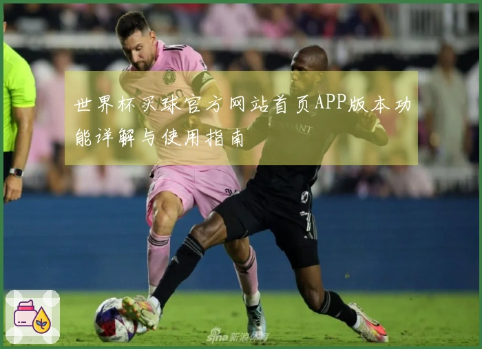 世界杯买球官方网站首页APP版本功能详解与使用指南