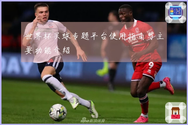 世界杯买球专题平台使用指南与主要功能介绍