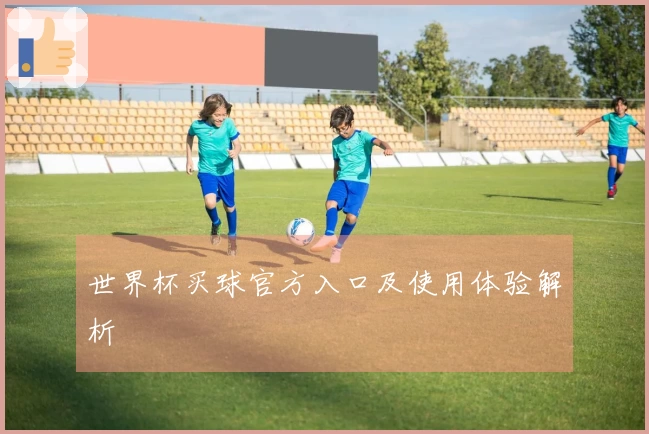 世界杯买球官方入口及使用体验解析
