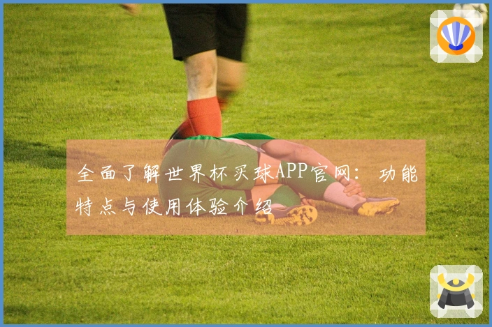 全面了解世界杯买球APP官网：功能特点与使用体验介绍