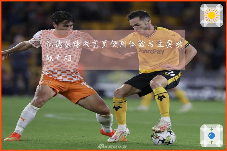 亿德买球网首页使用体验与主要功能介绍