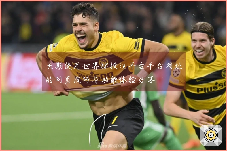 长期使用世界杯投注平台平台网址的网页技巧与功能体验分享