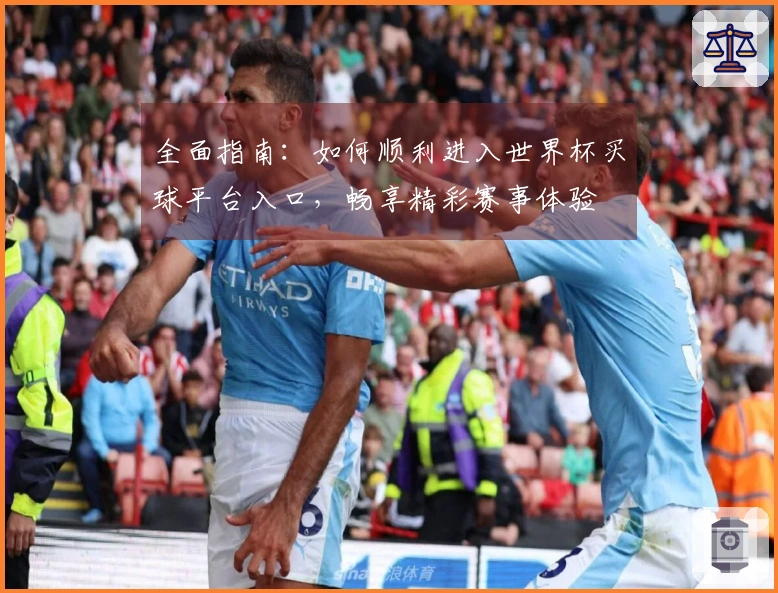 全面指南：如何顺利进入世界杯买球平台入口，畅享精彩赛事体验