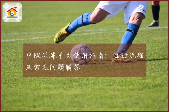 中欧买球平台使用指南：注册流程及常见问题解答
