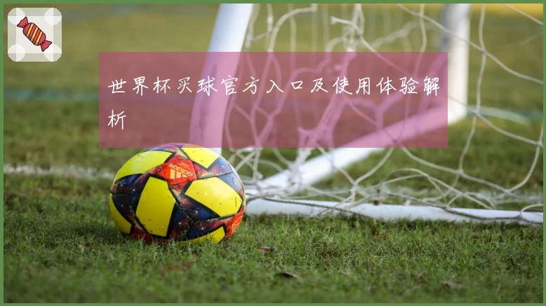 世界杯买球官方入口及使用体验解析