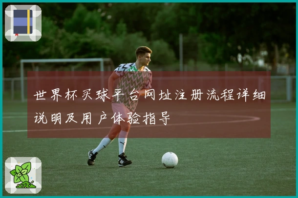 世界杯买球平台网址注册流程详细说明及用户体验指导