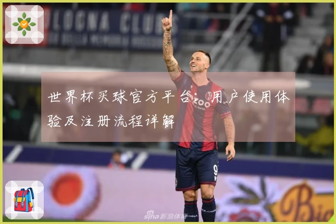 世界杯买球官方平台：用户使用体验及注册流程详解