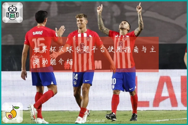 世界杯买球专题平台使用指南与主要功能介绍