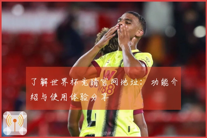 了解世界杯竞猜官网地址：功能介绍与使用体验分享