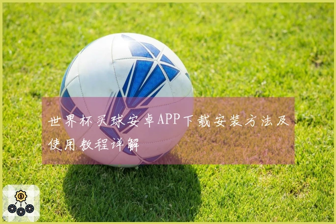 世界杯买球安卓APP下载安装方法及使用教程详解