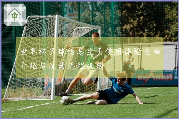 世界杯买球信息主页使用体验全面介绍与注册流程说明