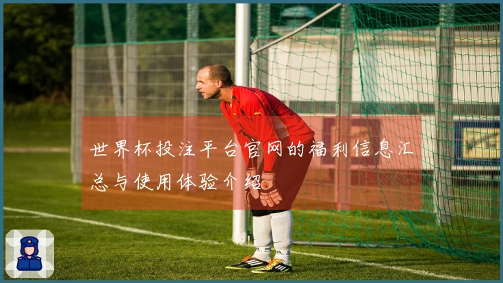 世界杯投注平台官网的福利信息汇总与使用体验介绍