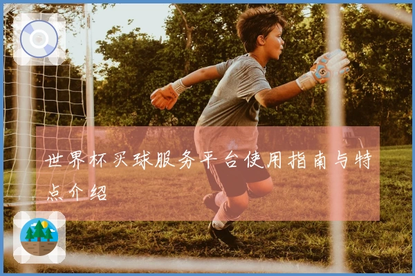 世界杯买球服务平台使用指南与特点介绍