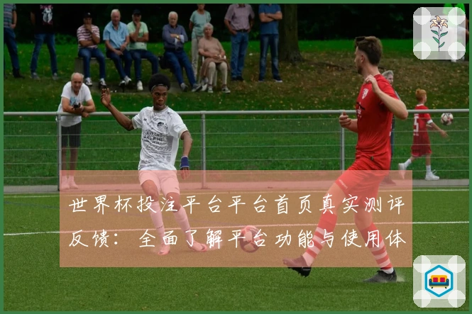 世界杯投注平台平台首页真实测评反馈：全面了解平台功能与使用体验