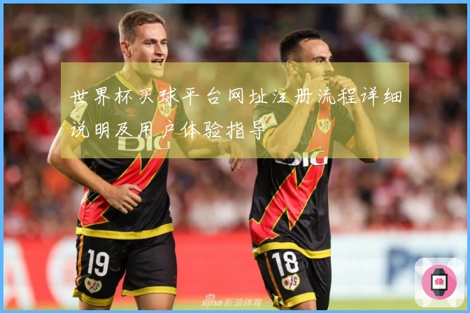 世界杯买球平台网址注册流程详细说明及用户体验指导