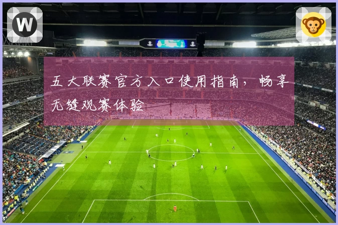 五大联赛官方入口使用指南，畅享无缝观赛体验
