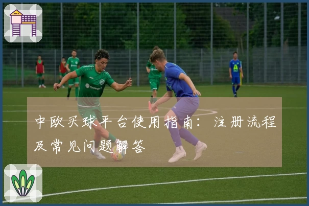 中欧买球平台使用指南：注册流程及常见问题解答