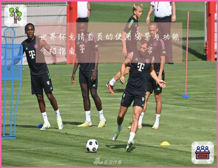 世界杯竞猜首页的使用场景与功能介绍指南